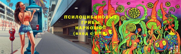 молекула духа Заполярный