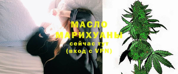 молекула духа Заполярный