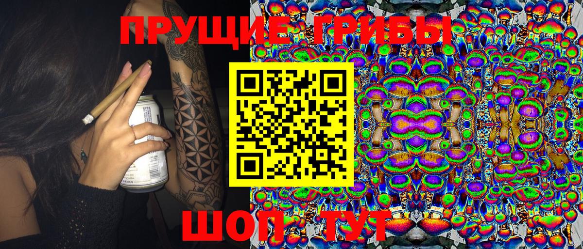 Псилоцибиновые грибы Cubensis Рославль
