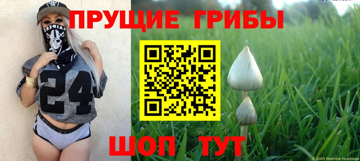 Рославль  сколько стоит  Псилоцибиновые грибы MAGIC MUSHROOMS  Вход с VPN  Галлюциногенные грибы MAGIC MUSHROOMS 